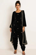 Black Salwar Suit (Handwork)
